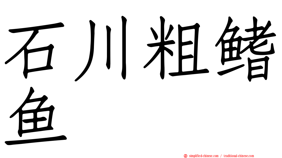 石川粗鳍鱼