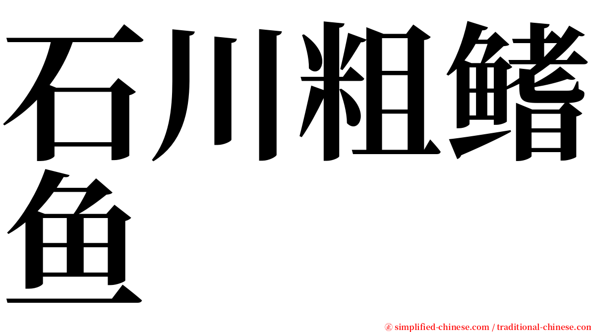 石川粗鳍鱼 serif font