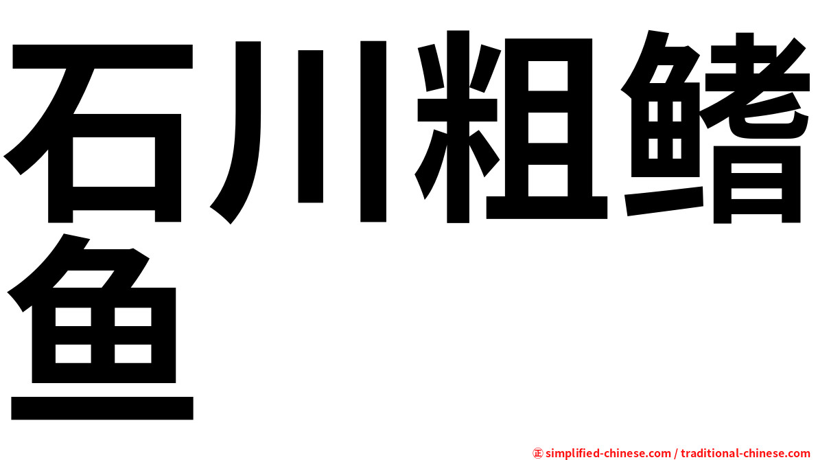 石川粗鳍鱼