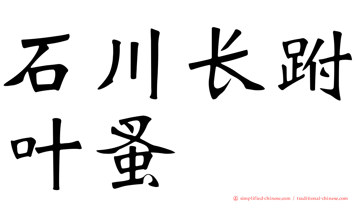 石川长跗叶蚤
