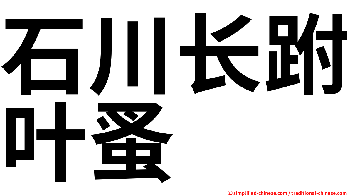 石川长跗叶蚤