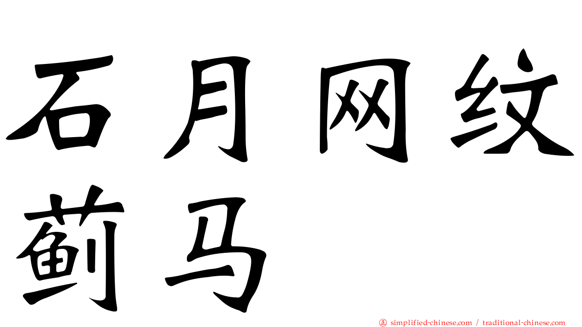 石月网纹蓟马