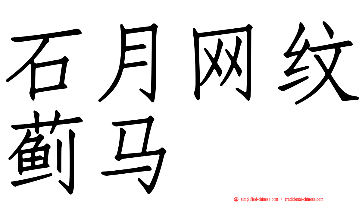 石月网纹蓟马