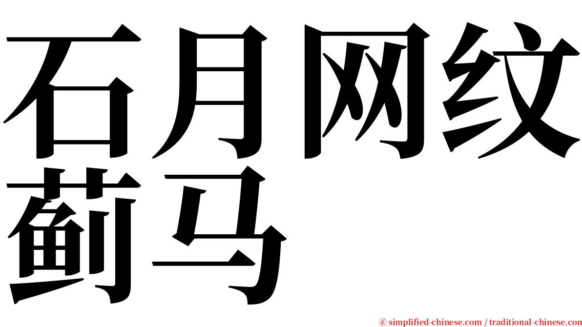 石月网纹蓟马 serif font