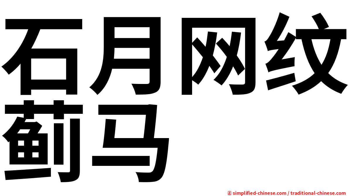 石月网纹蓟马