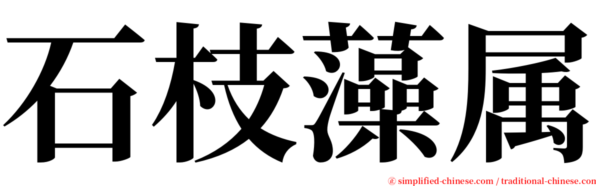 石枝藻属 serif font