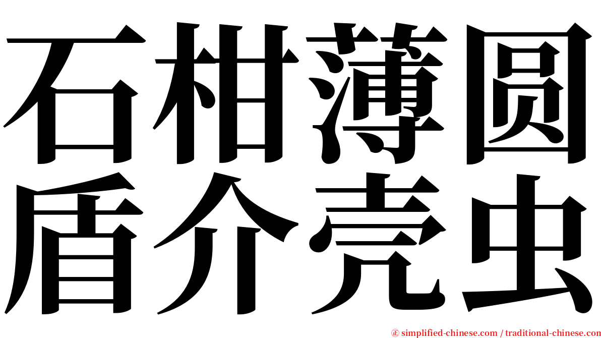 石柑薄圆盾介壳虫 serif font