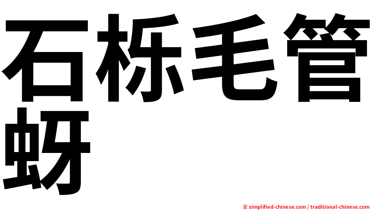 石栎毛管蚜