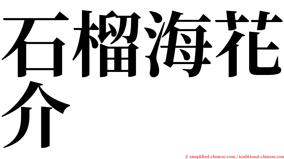 石榴海花介 serif font