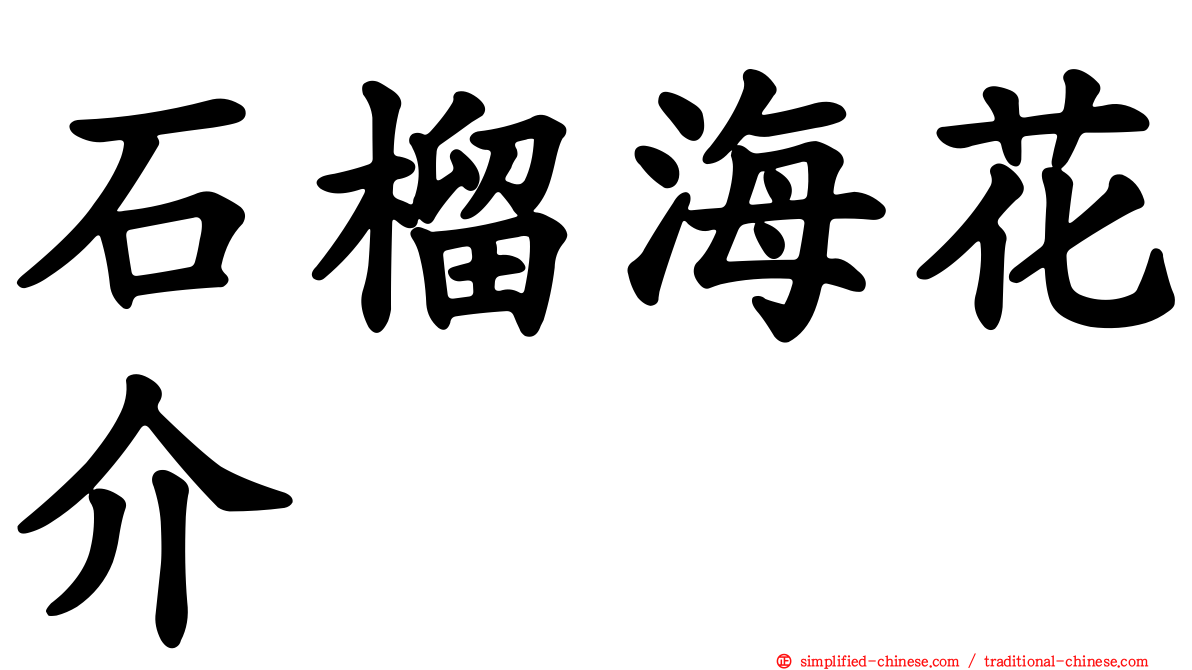 石榴海花介