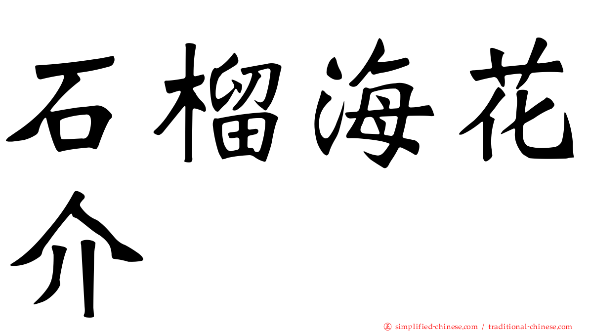 石榴海花介