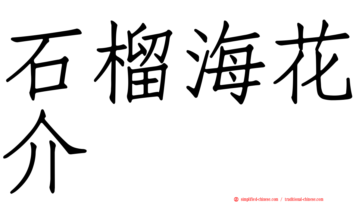 石榴海花介