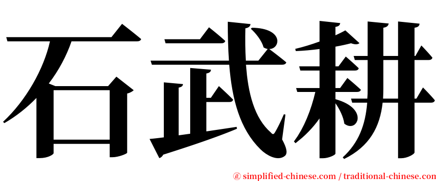 石武耕 serif font