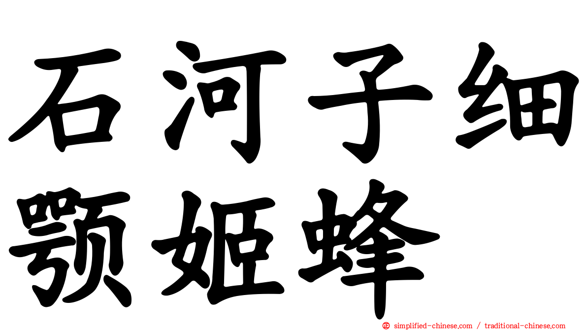 石河子细颚姬蜂
