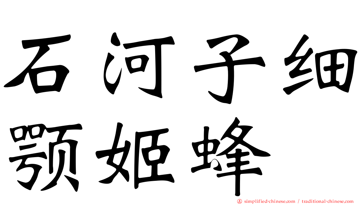 石河子细颚姬蜂