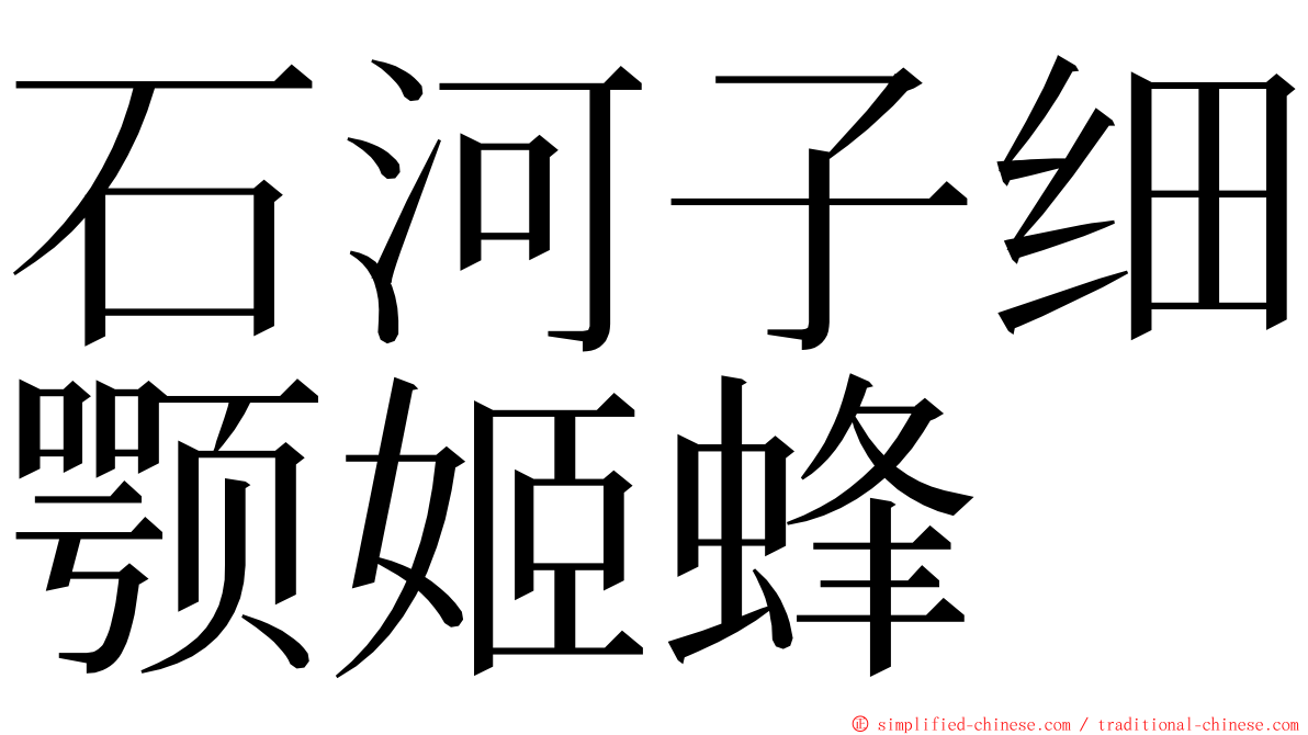 石河子细颚姬蜂 ming font