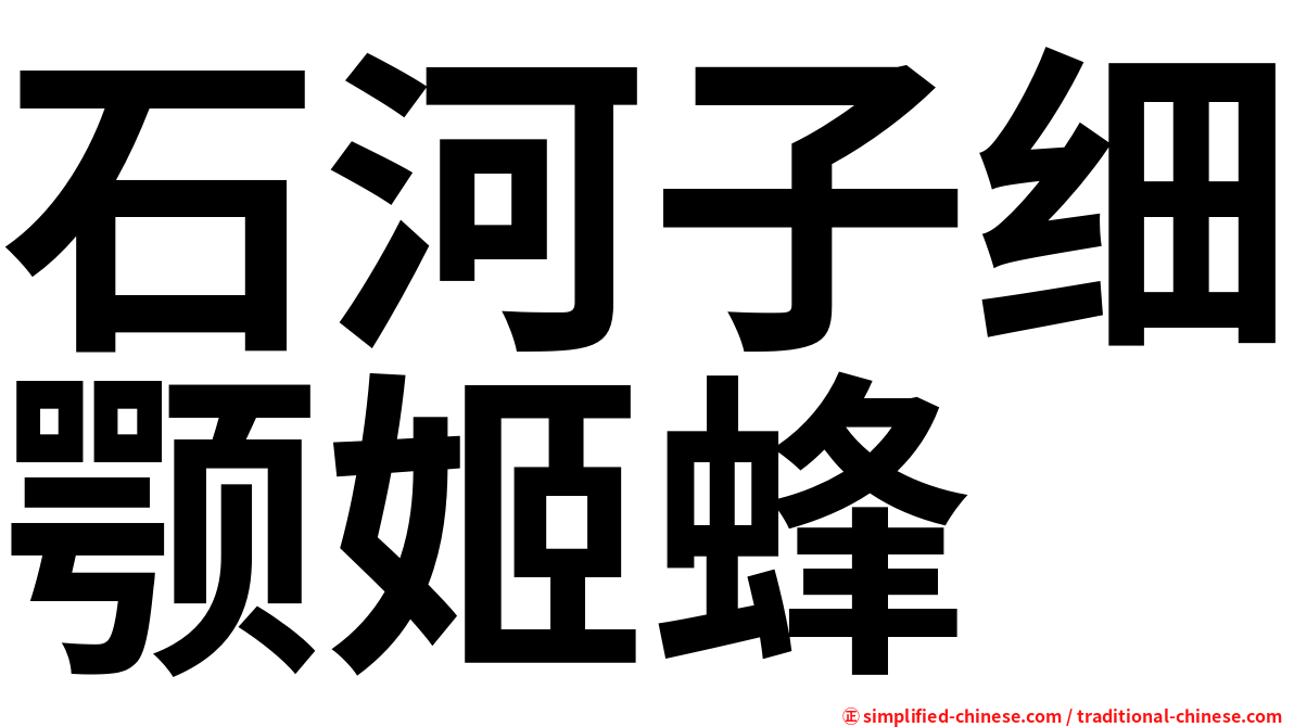 石河子细颚姬蜂