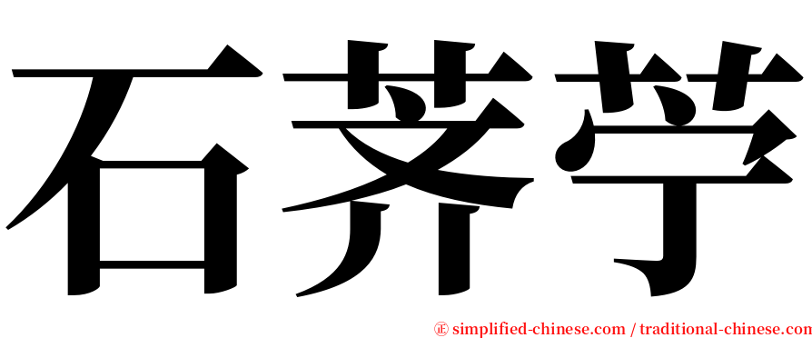 石荠苧 serif font