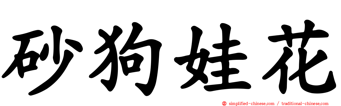 砂狗娃花