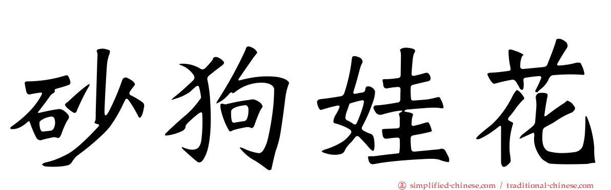 砂狗娃花