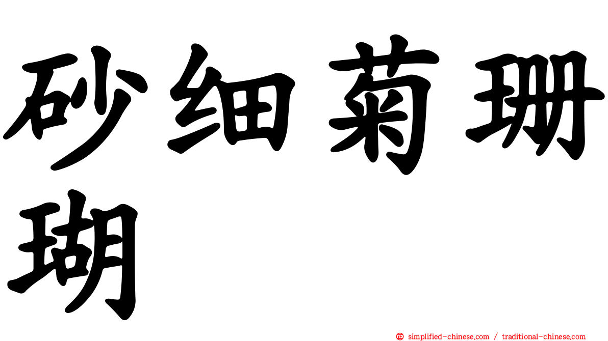 砂细菊珊瑚