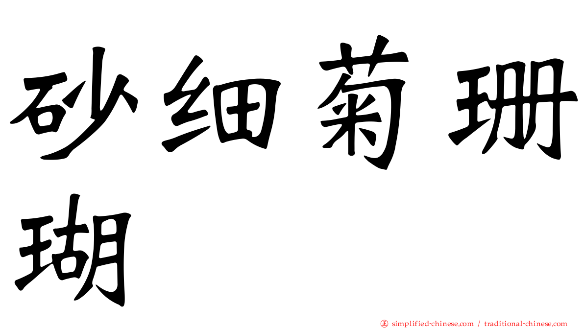 砂细菊珊瑚