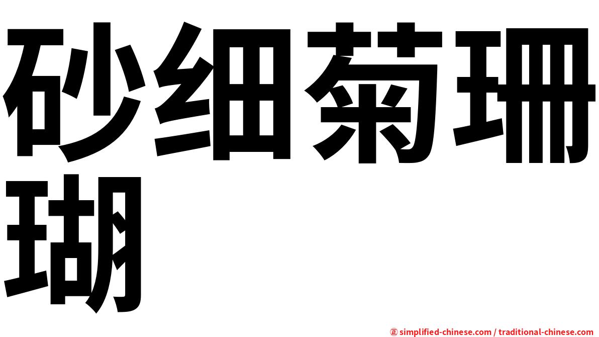 砂细菊珊瑚