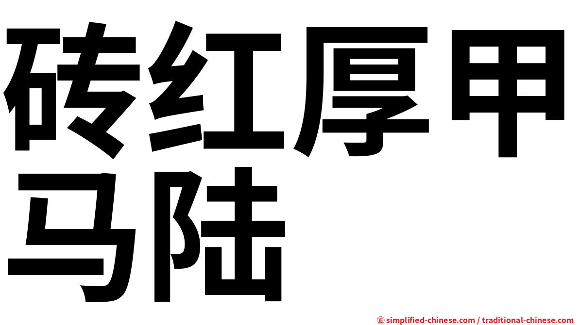 砖红厚甲马陆