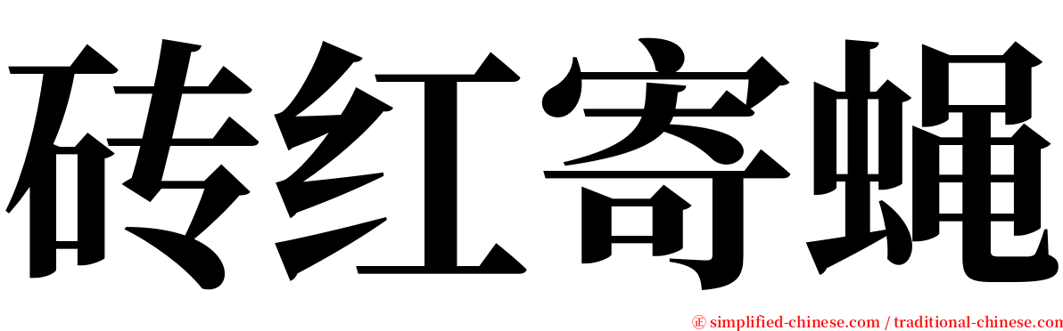 砖红寄蝇 serif font