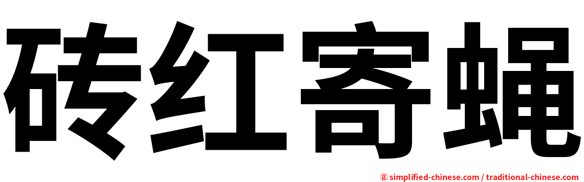 砖红寄蝇