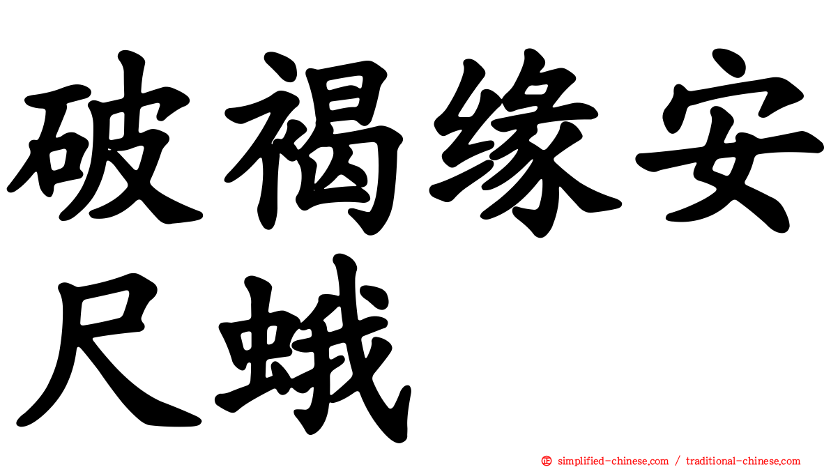 破褐缘安尺蛾