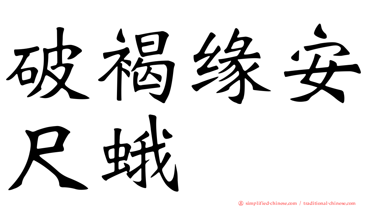 破褐缘安尺蛾
