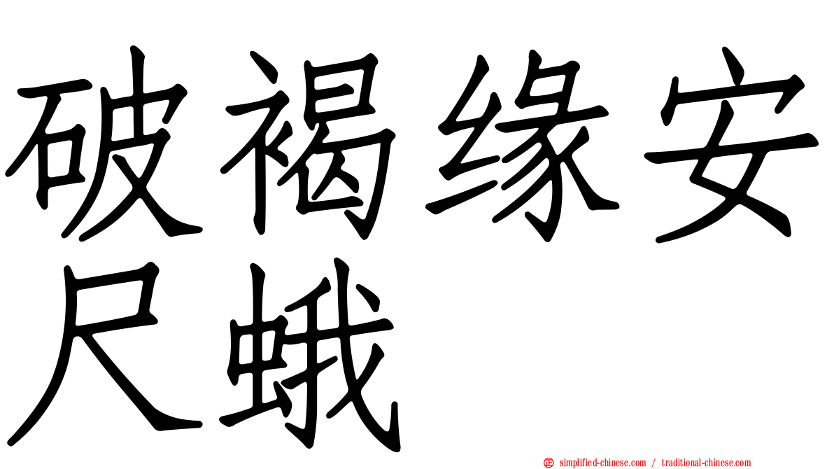破褐缘安尺蛾