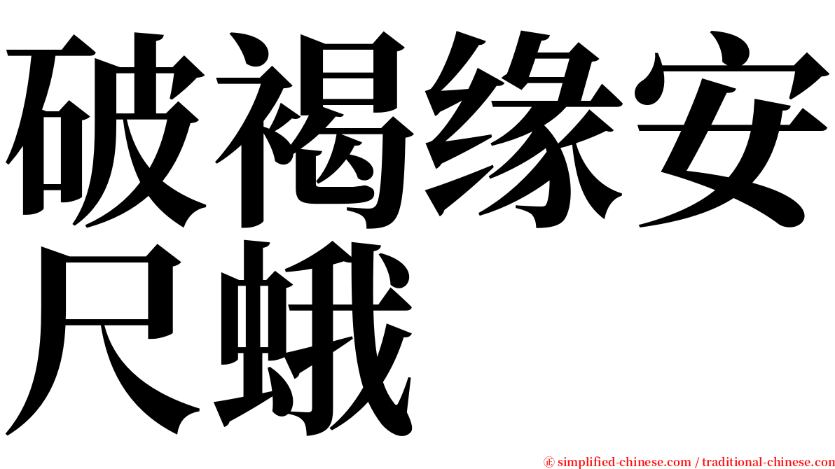 破褐缘安尺蛾 serif font