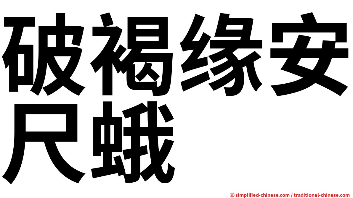 破褐缘安尺蛾