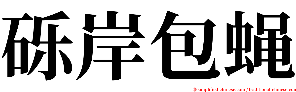 砾岸包蝇 serif font