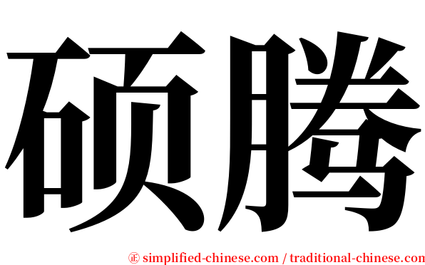 硕腾 serif font