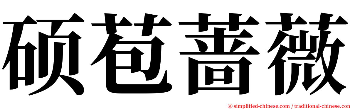硕苞蔷薇 serif font