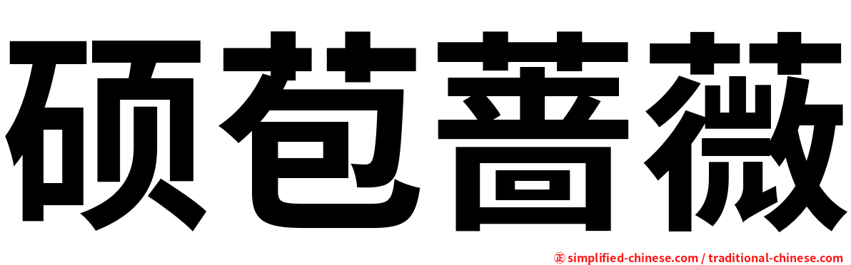 硕苞蔷薇