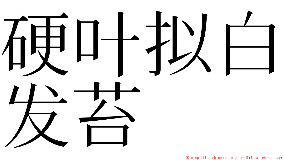 硬叶拟白发苔 ming font