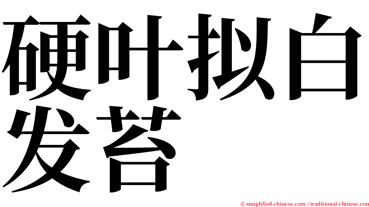 硬叶拟白发苔 serif font