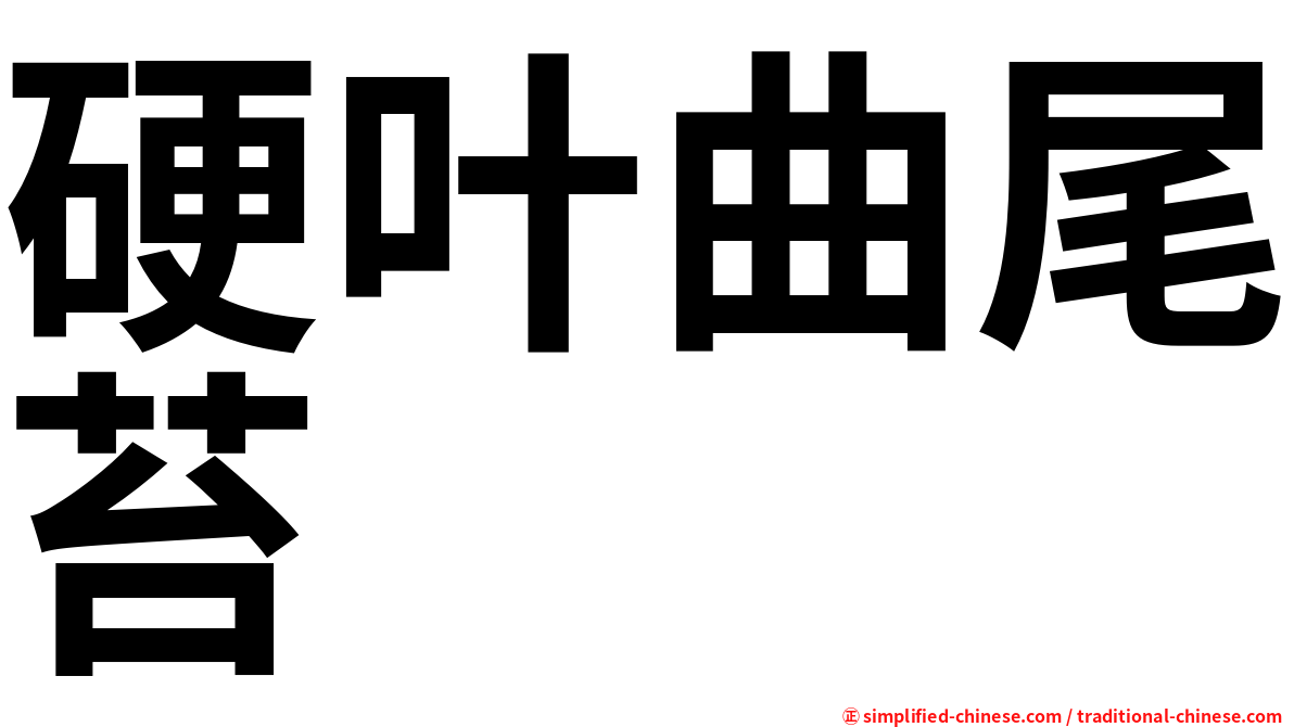 硬叶曲尾苔