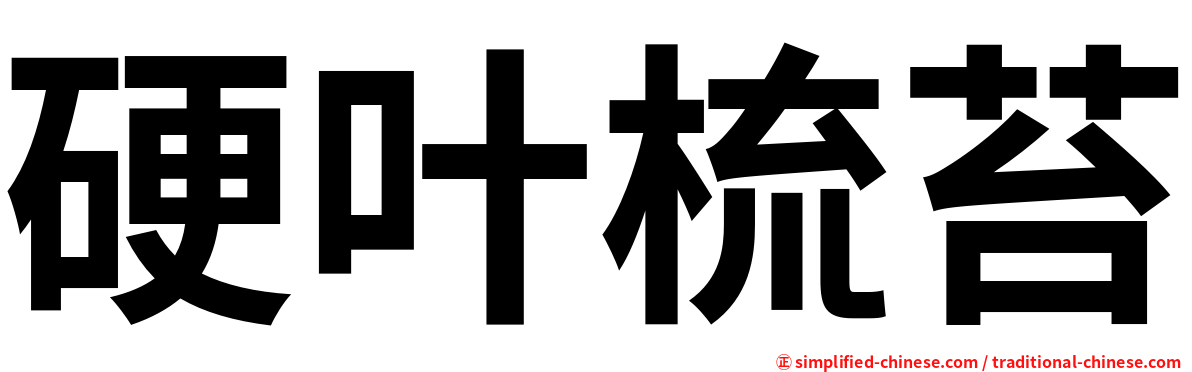 硬叶梳苔