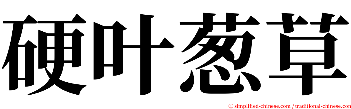 硬叶葱草 serif font