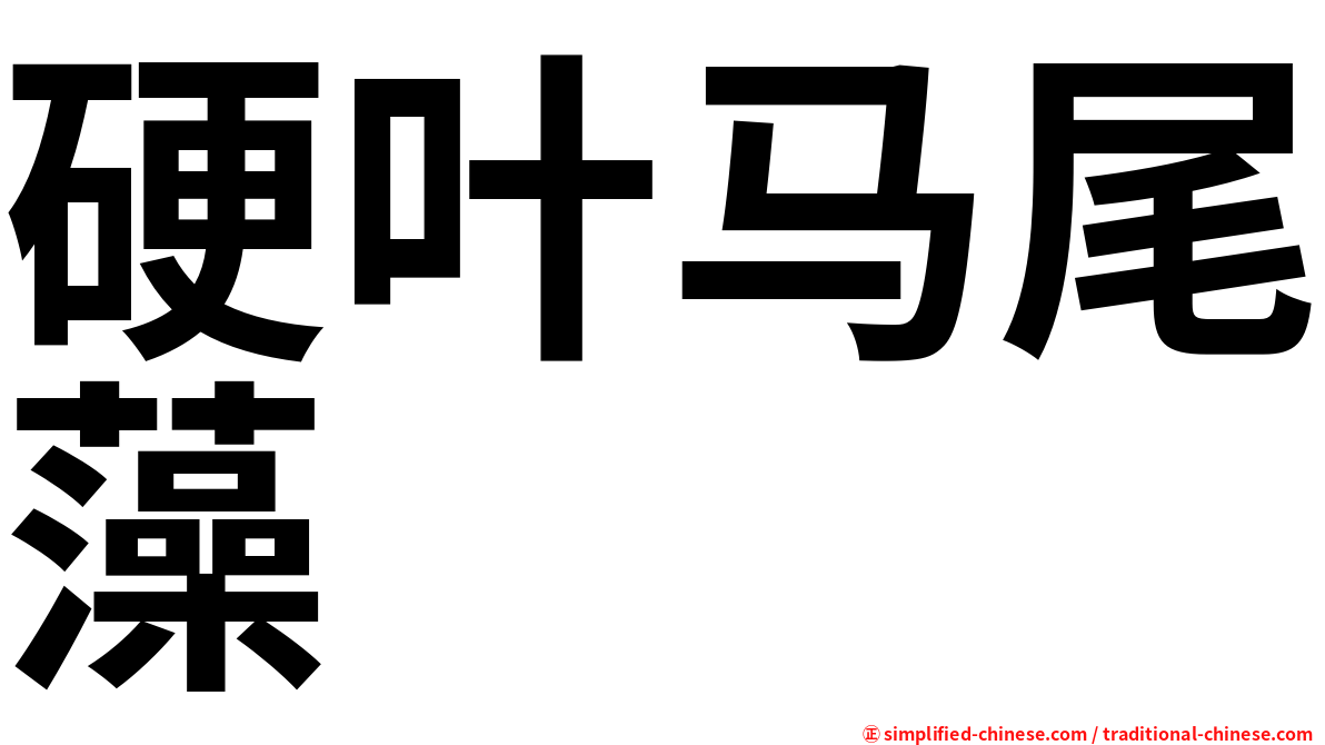 硬叶马尾藻