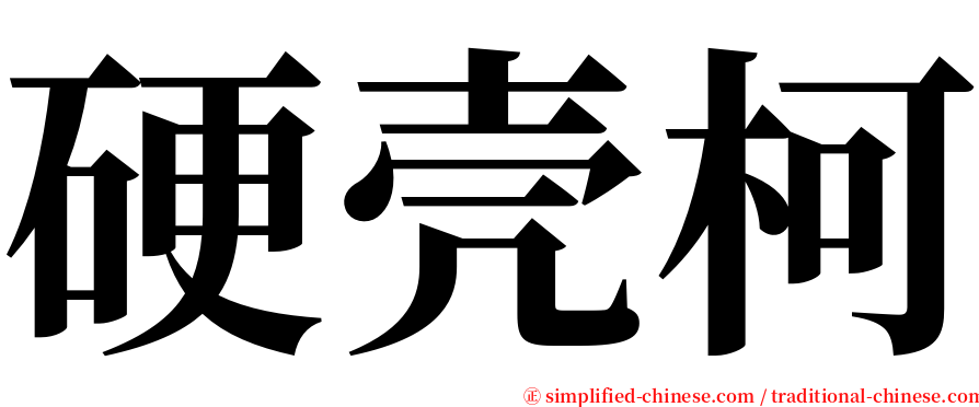 硬壳柯 serif font