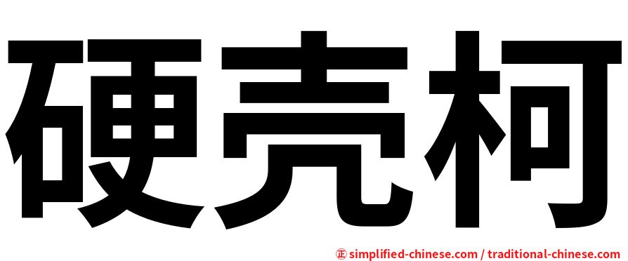硬壳柯