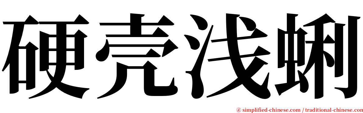 硬壳浅蜊 serif font