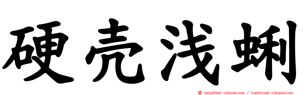 硬壳浅蜊