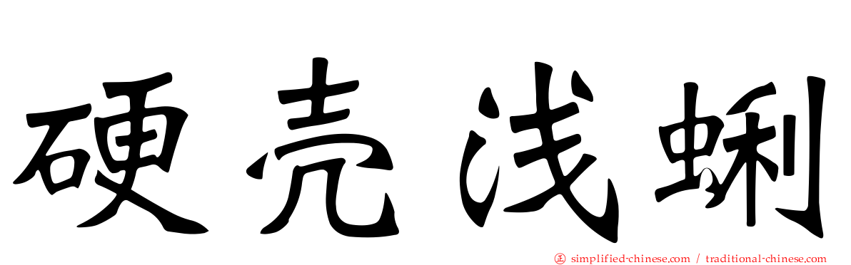 硬壳浅蜊